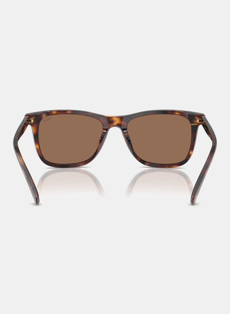 POLO RALPH LAUREN Full Rim Square Sunglasses 0PH4220U - Image 3